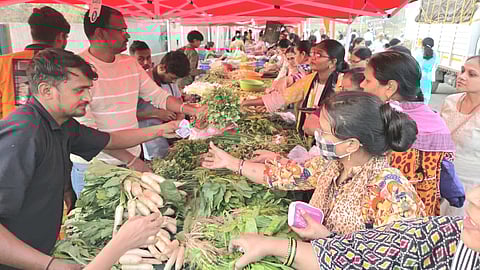 Shiv Sena BJP dispute 