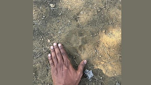 Leopard spotted in Nagav