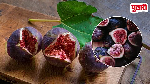 Fruit Crop Damage Purandar