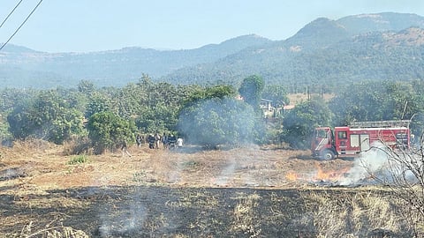 Loharmal forest fire