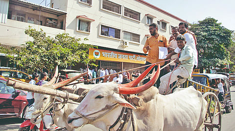 Solapur municipal election