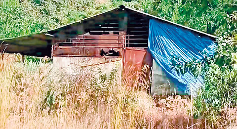 Bamnoli drugs seizure