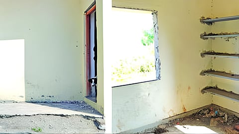 Public property damage