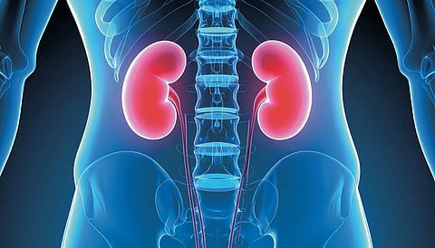 Winter Kidney health 