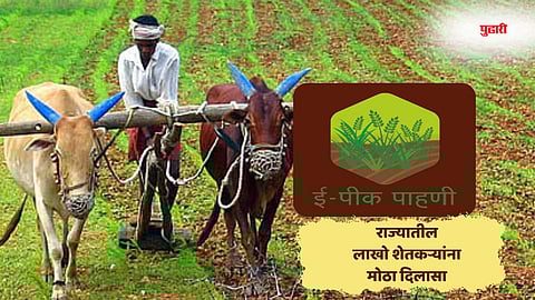 E pik pahani Offline