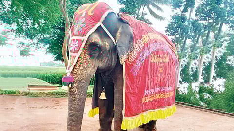 madhuri-return-path-cleared-nandani-math