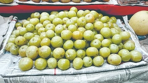 Amla farming