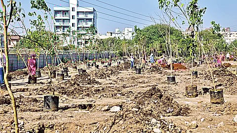 'आपले नाशिक-हरित नाशिक' या संकल्पनेवर आधारित 'हरित नाशिक' या मोहिमेचा सोमवारपासून (दि.१५) शहरात प्रारंभ केला जात आहे. 