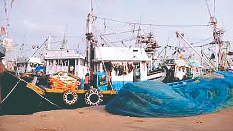 district fishing crisis