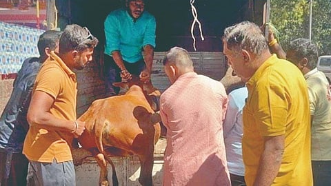 dumper accident Malvan