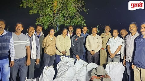 Buldhana Cannabis Seized From Farm