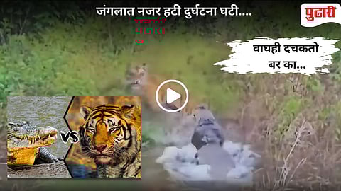 Viral Video|"इथे बेसावध राहिला तो संपला..." : क्षणाची सावधानता अन् जंगलाच्या राजाचा जीव वाचला!