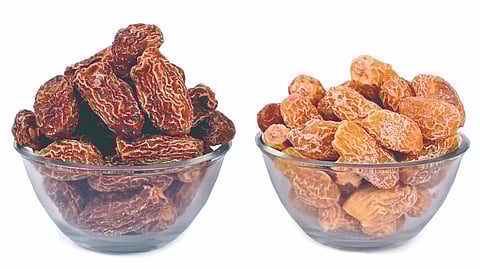 Dates Health benefits | काळा की पिवळा खजूर आरोग्यदायी?