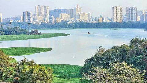 Powai Lake