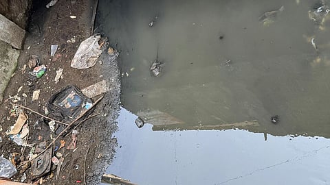 Vasai wastewater issue