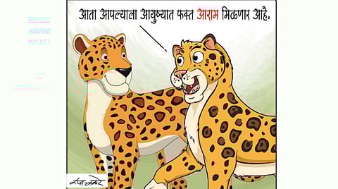 Pudhari Tadaka Article 