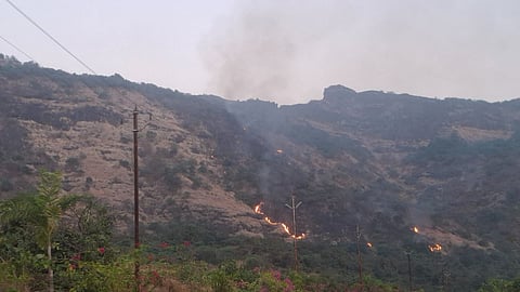 Shrimulangad forest fire