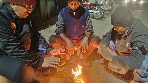 निफाड (नाशिक)