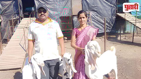 Purandar Goat Farming