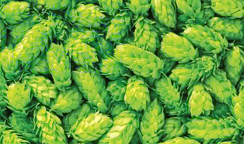 World Most expensive vegetable