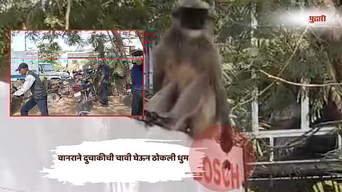 Kolhapur news| वानराने दुचाकीची चावी घेऊन ठोकली धुम...