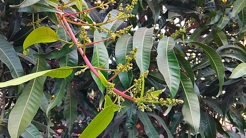 Farmers insurance issue