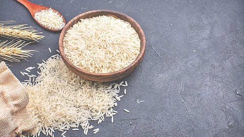 Wada Kolam rice Palghar