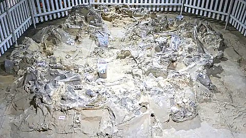Mammoth Bone Houses
