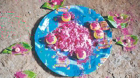 Nigwe Khalsa pregnant cow killing