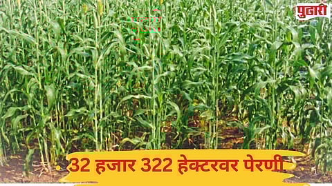 Kinwat Rabi sowing news