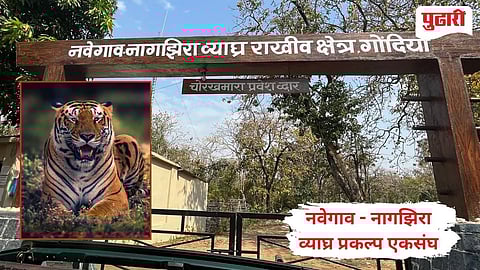 Navegaon - Nagzira Tiger Reserve