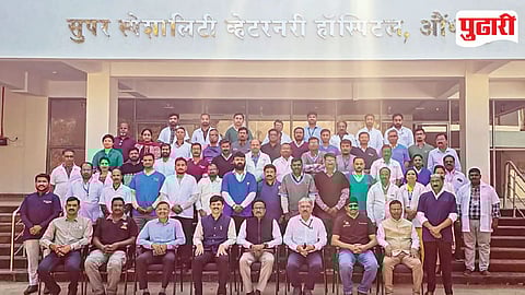 Animal Birth Control