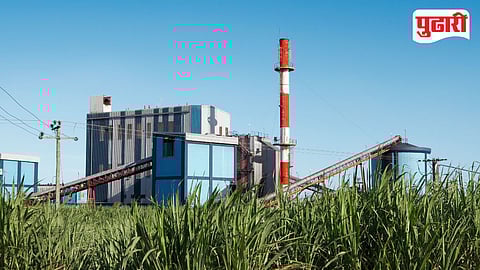Sugar Factory Representative image