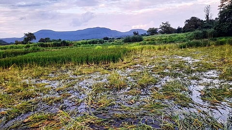 Raigad Monsoon Damage