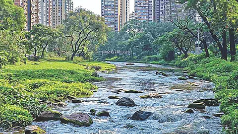 Mumbai River Rejuvenation Project