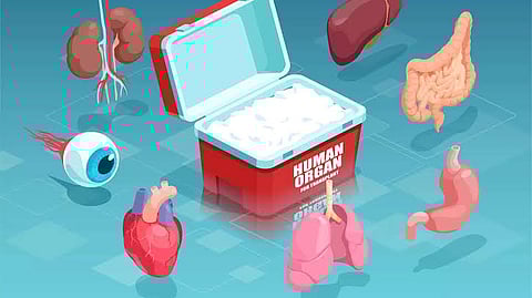 
A spring of humanity even after death