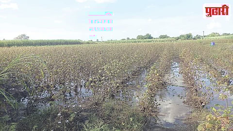 Shevgaon Flood Relief