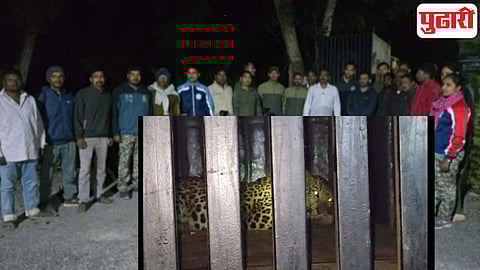 Gadchiroli Leopard rescue operation