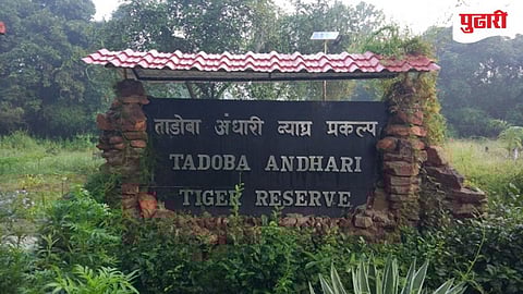 Tadoba-Andhari Tiger Reserve 
