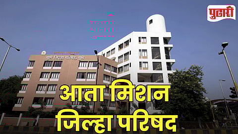 District Council Elections