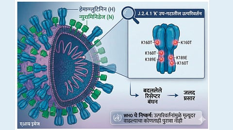 ‘H3N2’ virus