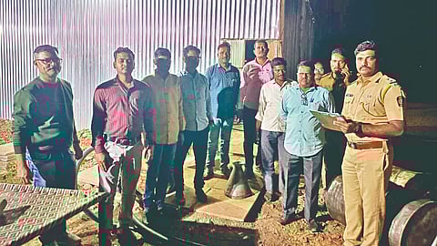 Borgi biodiesel case