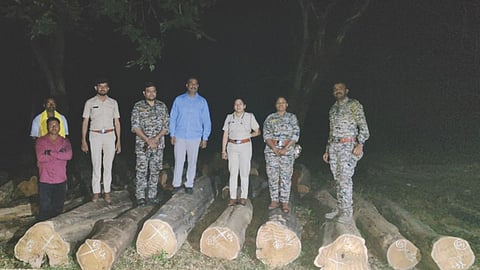 Bhandara forest crime