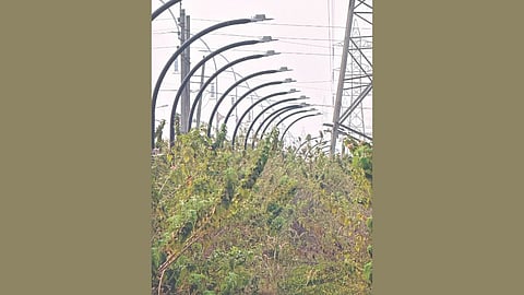 Misuse of Public Funds