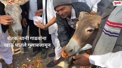 farmers protest udaipur