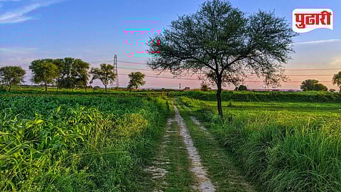 Panand Road Maharashtra