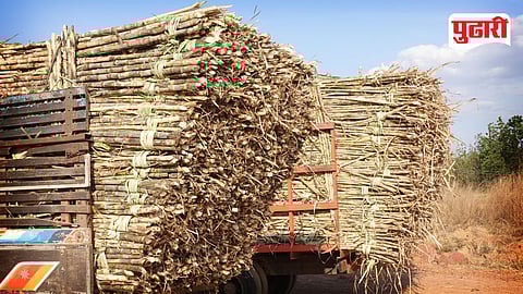 Sugarcane Crushing License