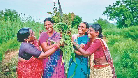 Women Farmer 