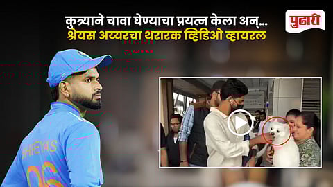 Shreyas Iyer Dog Attack Video