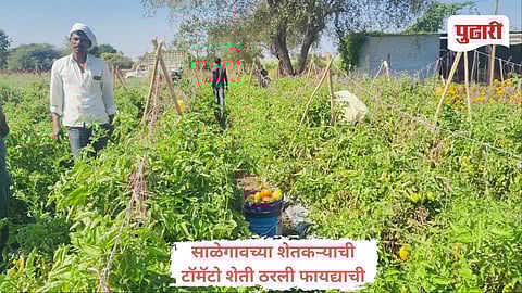 केज येथील शेतकरी भागवत मुळे 